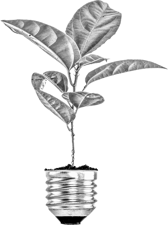 Цветок flower_blue