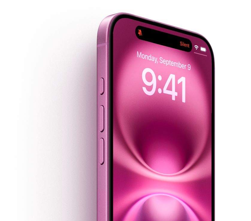 Продвижение интернет-магазина техники Apple: Apple Store Продвижение интернет-магазина техники Apple: Apple Store