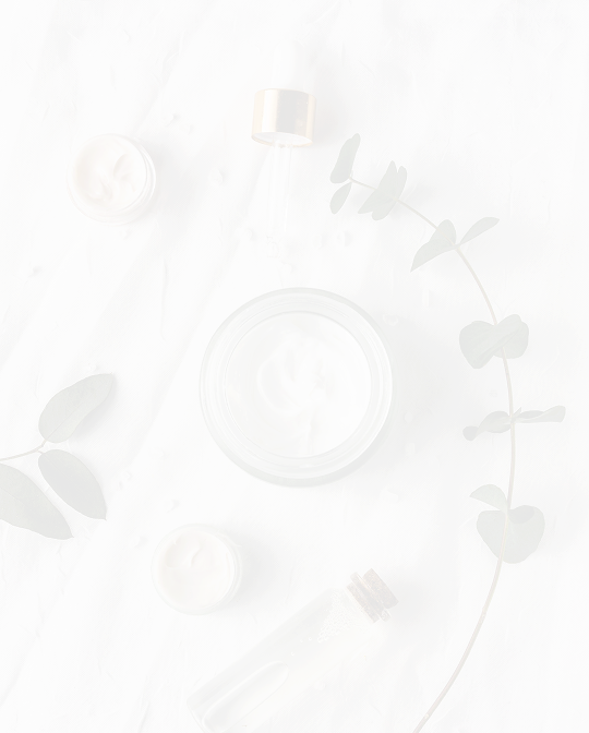 Продвижение сайтов (SEO)