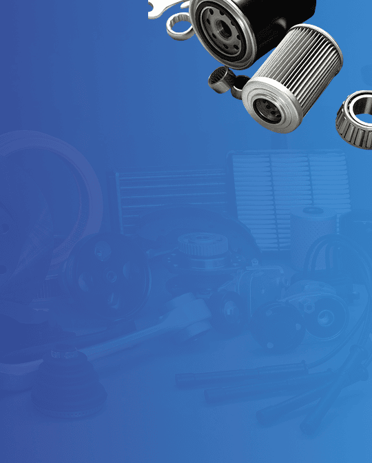 Продвижение сайтов (SEO)