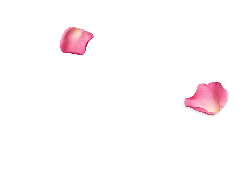 Продвижение сайтов (SEO)